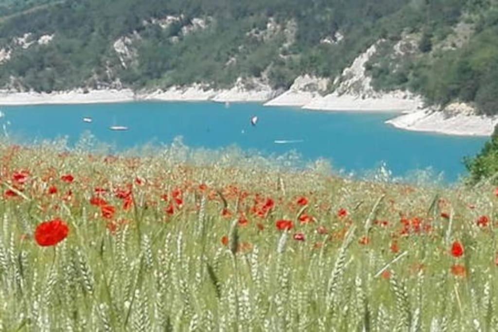 Treffort  Gite De Charme : La Grange Au Lac Azur מראה חיצוני תמונה