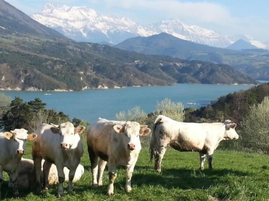 Treffort  Gite De Charme : La Grange Au Lac Azur מראה חיצוני תמונה